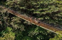 Rainforest Waterfall Hike, Hanging Bridges, and Cultural Lunch in Local Home