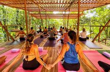 Jungle Bliss: Yoga, Waterfalls, and Blue Clay Experience w/Lunch
