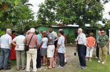 Half Day Mudpools, Veseisei Fijian Village, Gardens of Sleeping Giants &Shopping