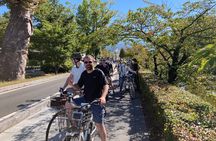 eTour de Matsumoto - Private Electric Bike Tour