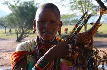 10-Day Private Tour in Big Five Safari and Beaches