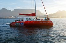 Catamaran Sunset Champagne Cruise Cape Town