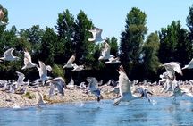 Stand Up Paddle tour from Tirana Albania to Skadar Lake & Buna River