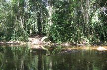 Full-Day ATM Cave and Xunantunich Maya Temple Combo