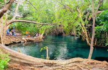 Private Tour to Materuni Waterfalls, coffee tour, Kikuletwa Hot Springs & Maasai
