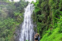 Private Tour to Materuni Waterfalls, coffee tour, Kikuletwa Hot Springs & Maasai