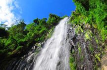 Private Tour to Materuni Waterfalls, coffee tour, Kikuletwa Hot Springs & Maasai
