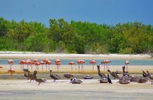 The magical Island of Holbox and Punta Mosquito 