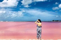 Las Coloradas & Rio Lagartos Tour from Cancún