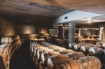 Prestigious wineries of Uco - Private luxury tour