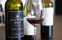 Prestigious wineries of Uco - Private luxury tour