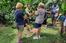 Half-Day Tour with Safari Float and Chocolate Experience