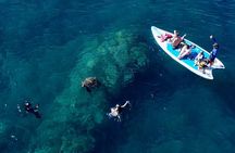 Guided Snorkeling Tour for Non-Swimmers Wailea Beach