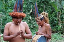 4-Day Amazon Jungle Tour From Iquitos