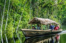 2-Day Tour in the Peruvian Amazon Jungle From Iquitos