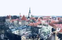 Tallinn Full Day Tour from Helsinki with Hotel Pick-Up