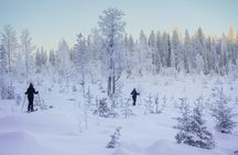 Backcountry Ski Adventure from Rovaniemi