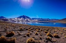 Small-Group Tour Altiplanic Lagoons Red Stones & Flamingo Reserve