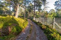 Private Balmoral Walking Tour to Queens Secret Cabin & the Castle
