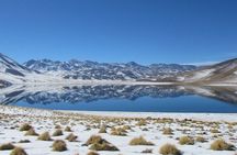 Small-Group Tour Altiplanic Lagoons Red Stones & Flamingo Reserve
