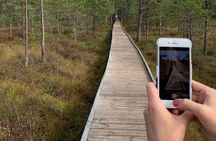 Day Trip to Land of Bays, the Romantic North-Coast from Tallinn