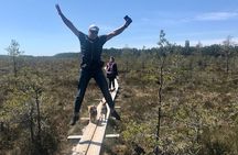 Day Trip to Land of Bays, the Romantic North-Coast from Tallinn
