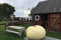 Day Trip to Land of Bays, the Romantic North-Coast from Tallinn