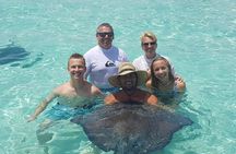 Private Charter 34ft Express Cruiser Stingay City Reef Snorkeling