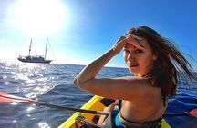 Kayak Safari with Dolphin and Turtle Watching in Guaza