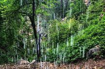 Private Spearfish Canyon Hike