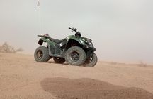 Quad tour in the palm grove desert