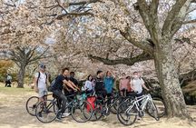 Nara - Heart of Nature Bike Tour