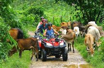 Phuket ATV Seaview On Tour