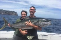 Private Big Game Fishing Charter from Tutukaka, Northland