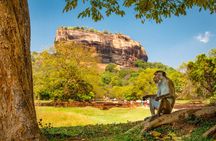 4 Days Tour To Kandy, Nuwara Eliya, Dambulla & Anuradhapura From Colombo