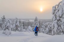 Small-Group Snowshoeing Adventure In Lapland