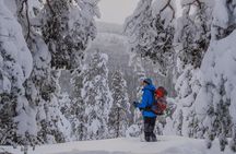 Small-Group Snowshoeing Adventure In Lapland