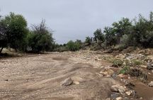 Hiking at Daan Viljoen Park