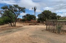 Hiking at Daan Viljoen Park