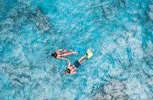 Aruba De Palm Island Day Pass 