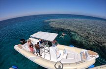 Private Dolphin Watching And Snorkeling Tour