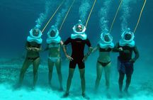 Fun Seaquarium From Punta Cana Free Transportation