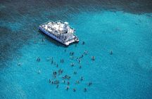 Fun Seaquarium From Punta Cana Free Transportation