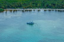 Fun Seaquarium From Punta Cana Free Transportation