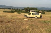  Gorilla & Chimpanzee Trekking in Uganda - 5 Days