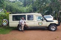  Gorilla & Chimpanzee Trekking in Uganda - 5 Days