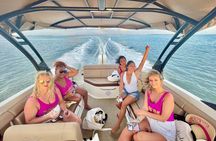 Barrier Island, Shelling and Dolphin Tour in St Petersburg, Fl