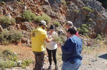 Full-Day Small-Group Tour in Crete & the paths of Zeus Cave