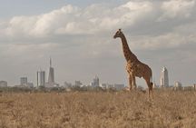 Nairobi National Park Tour