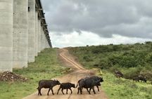 Nairobi National Park Tour
